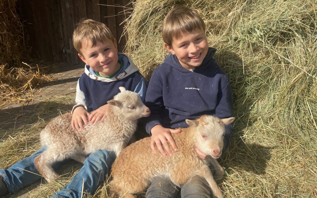 Bauernhofpädagogik für Grundschulen & Kindergärten
