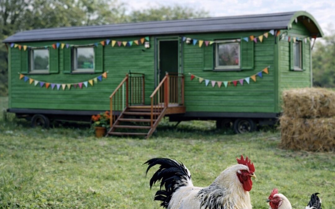 „Tag der offenen Tür“ im Bauernhof-Kindergarten